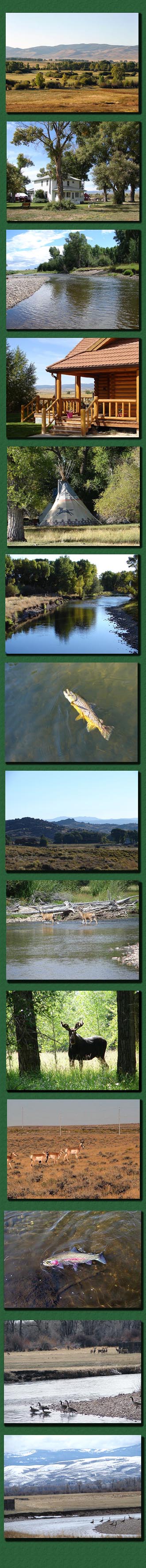 Flying Diamond Ranch - Saratoga Wyoming