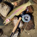 Montana Fly Fishing Property 2